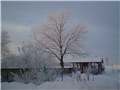ledeno jutro